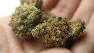 Legea ar urma să intre în vigoare de la 1 ianuarie anul viitor.