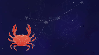 Horoscop 2024 Rac: Cea mai bună perioadă din an pentru această zodie