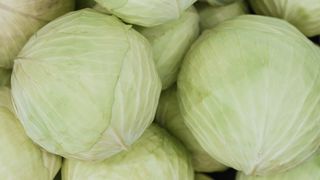 Salata de varză albă este delicioasă