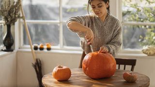 Dovleacul, comoara toamnei