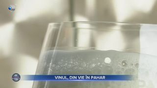 VIDEO- Vinul, din vie &icirc;n pahar. Care este &icirc;ntregul proces de preparare a vinului?