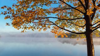 Cum va fi vremea în luna octombrie? Meteorologii au anunțat temperaturi mai mari decât normalul perioadei! Prognoza meteo completă pentru perioada 02.10.2023 - 30.10.2023