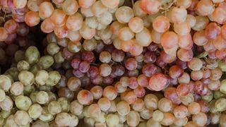 Strugurii aduc o mulțime de beneficii pentru organism