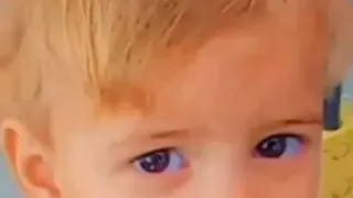 Sf&acirc;rșit tragic pentru un copil de doar 2 anișori. A fost sf&acirc;șiat de pibull-ul familiei. Băiețelul ieșise din curte ca să-și recupereze mingea