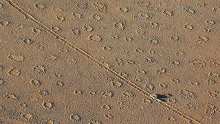 Misterioase "cercuri de z&acirc;ne"