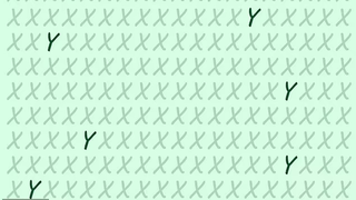 test iq iluzie optica