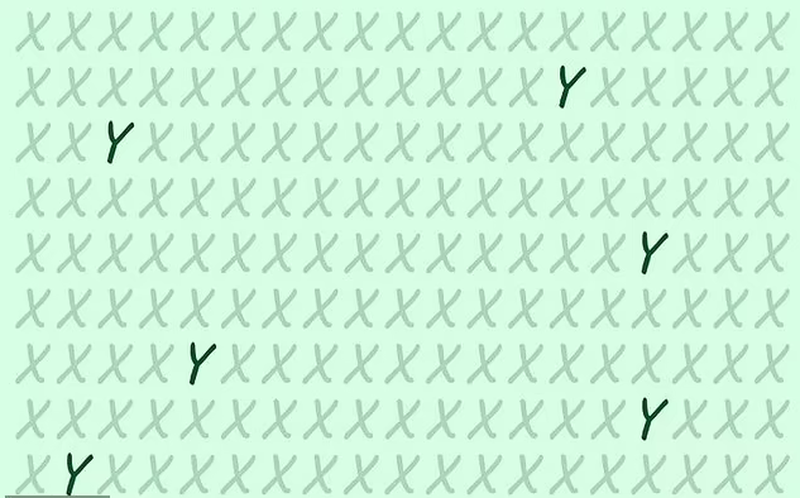 test iq iluzie optica