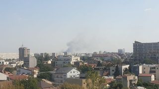 Pompierii intervin în cazul unui incendiu de vegetație, în Glina. Flăcările au cuprins 12.000 de metri pătraţi