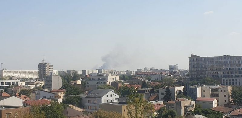 Pompierii intervin în cazul unui incendiu de vegetație, în Glina. Flăcările au cuprins 12.000 de metri pătraţi