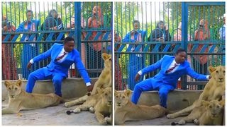 VIDEO. "Un preot a vrut să demonstreze că există Dumnezeu și a intrat în cușca cu lei". Ce a urmat