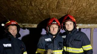 Intervenție a pompierilor în cazul unui cățel, care a căzut în canalul săpat pentru o fântână, de circa 4 metri adâncime