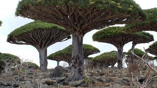 3 locuri „extraterestre” de pe Pământ. Oamenii care le vizitează se simt ca pe o altă planetă