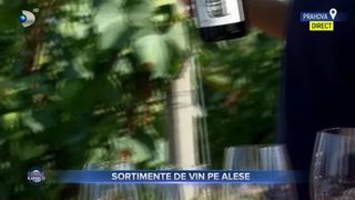 VIDEO - Sortimente de vin pe alese. &bdquo;Vinurile albe sunt potrivite pentru preparatele pe bază de pește sau carne&rdquo;