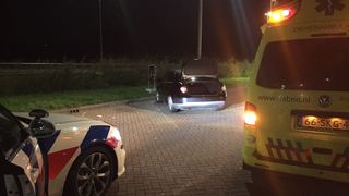 Un român a fost arestat în Olanda. Bărbatul a fost prins de polițiști când avea în portbagaj o oaie furată de la o grădină zoologică