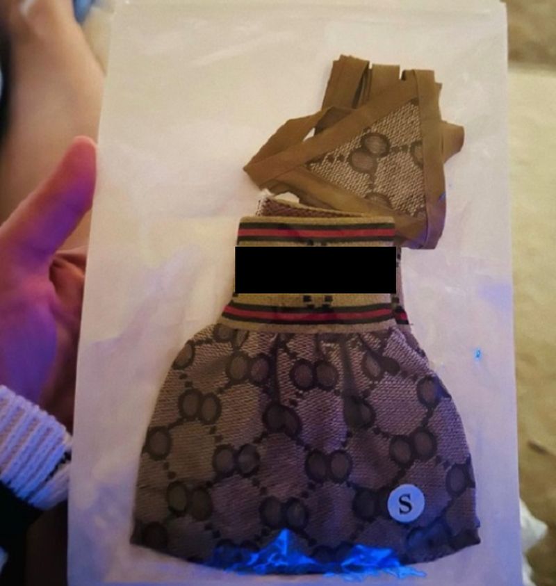 Britney Spears i-a cumpărat câinelui său o lenjerie de firmă