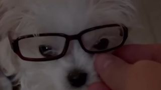 Britney Spears i-a cumpărat c&acirc;inelui său o lenjerie de firmă