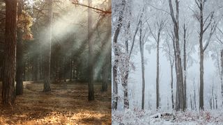 Prognoza meteo pentru iarna 2023/2024. Vom avea sau nu zăpadă? Vremea în lunile decembrie, ianuarie și februarie