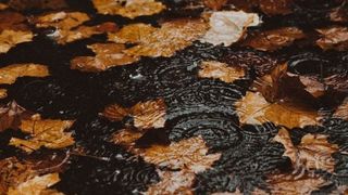 Cum va fi vremea în perioada 2 octombrie - 15 octombrie 2023? Temperaturile scad în următoarele zile. Prognoza meteo completă