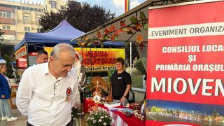 Ion Georgescu a fost reținut