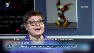 VIDEO - C&acirc;inele lui Biden, evacuat de la Casa Albă după ce a mușcat un membru al Serviciilor Secrete