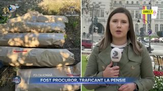 VIDEO - Fost procuror, traficant la pensie. Anchetatorii au găsit în curtea fostului magistrat o plantație de cannabis în vița de vie