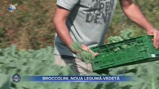 VIDEO- Broccolini, noua legumă-vedetă. "Se consumă cu tot cu tijă"