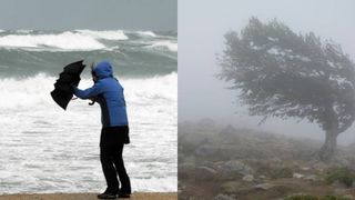 Atenționare meteorologică ANM. Cod galben de v&acirc;nt &icirc;n mai multe județe din țară. Rafalele vor depăşi 100 km/h