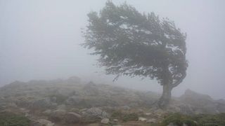 Atenționare meteorologică ANM. Cod galben de v&acirc;nt &icirc;n mai multe județe din țară. Rafalele vor depăşi 100 km/h