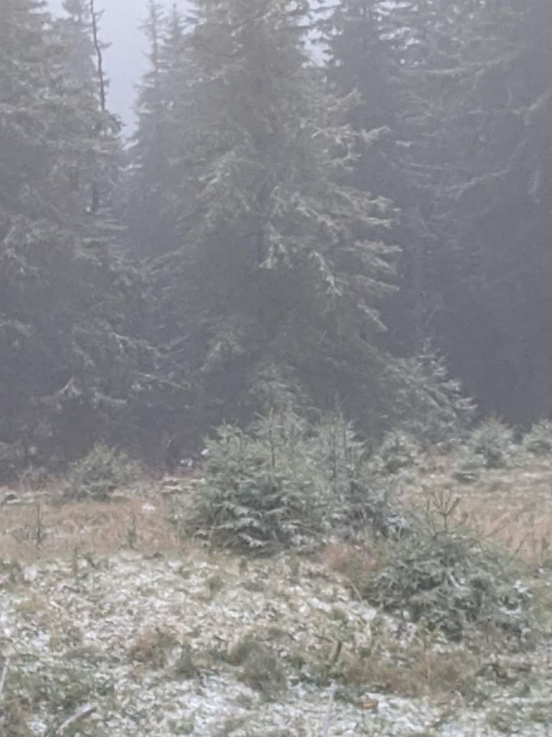 Prima ninsoare din această toamnă:  Unde au căzut primii fulgi de nea