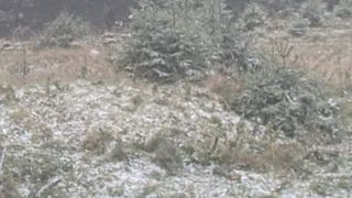 Prima ninsoare din această toamnă:  Unde au căzut primii fulgi de nea