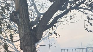 FOTO-Incendiu de proporții &icirc;n județul Dolj. Mai multe case au fost cuprinse de flăcări, iar patru persoane au fost intoxicate cu fum