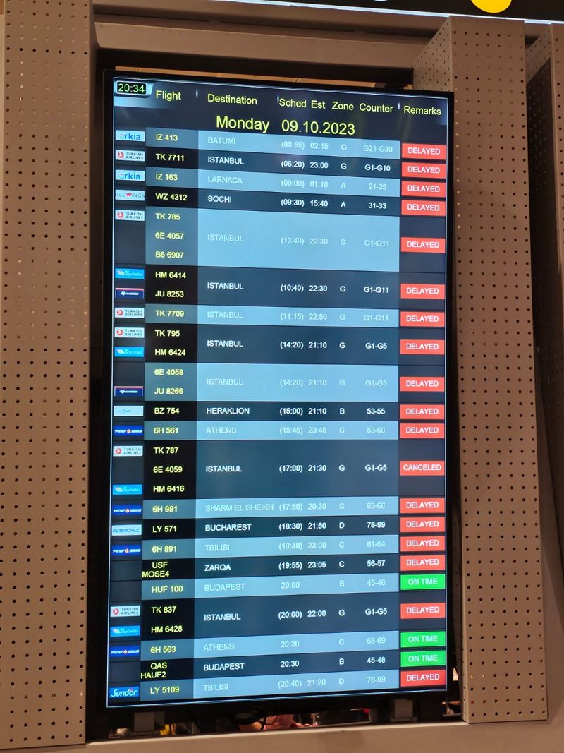 Prețul unui bilet, la zborul de repatriere, a fost de 350 de euro de persoană