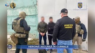 VIDEO- Heroină ascunsă &icirc;n curmale. Aproape 200 de kilograme de heroină au fost ascunse &icirc;n 16 tone de curmale