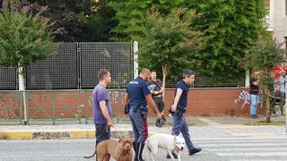 T&acirc;năr rom&acirc;n, urcat pe o macara &icirc;n Torino