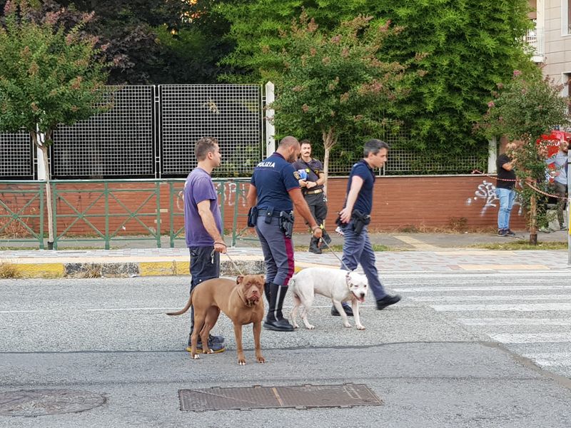 Tânăr român, urcat pe o macara în Torino