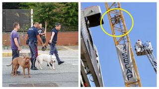 "&Icirc;mi vreau c&acirc;inii inapoi". Un t&acirc;năr rom&acirc;n disperat s-a urcat pe o macara &icirc;n Torino și a amenințat că se aruncă &icirc;n gol