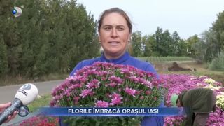VIDEO - Florile &icirc;mbracă capitala Moldovei! Zona pietonală din Iași a fost &icirc;mpodobită cu flori multicolore pentru a-i &icirc;nt&acirc;mpina pe credincioșii sosiți la pelerinajul Sfintei Parascheva
