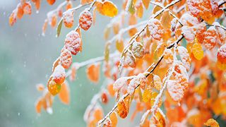 Se schimbă vremea &icirc;n Rom&acirc;nia! Temperaturile scad semnificativ. Zonele &icirc;n care vin ploile