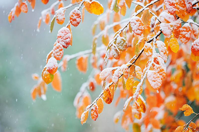 Se schimbă vremea în România! Temperaturile scad semnificativ. Zonele în care vin ploile