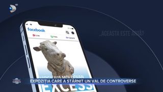 VIDEO - Expoziția care a st&acirc;rnit un val de controverse la un centrul cultural din Brașov. Șapte sculpturi au st&acirc;rnit diverse reacții din partea vizitatorilor