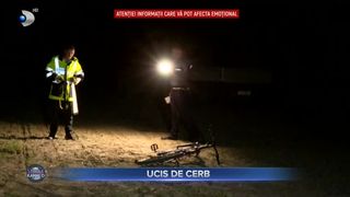 VIDEO - Tragedie lângă Timișoara. Un bărbat a fost ucis de cerbul pe care îl îngrijea