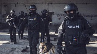 Percheziții la Brașov, la sediul unei școli particulare și cel al unei fundaţii