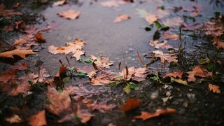 Cum va fi vremea în perioada 16 - 29 octombrie 2023? Prognoza meteo completă pe următoarele două săptămâni!