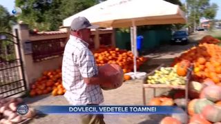 Dovleacul, vedeta toamnei. Restaurantele au &icirc;nceput să introducă bostanii &icirc;n meniul lor