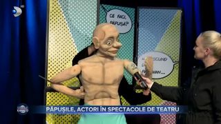Păpușile, actori &icirc;n spectacole de teatru. Spectacolele cu marionete sunt atractive at&acirc;t pentru adulți, c&acirc;t și pentru cei mici