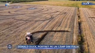 VIDEO - Donald Duck, portret pe un c&acirc;mp din Italia. Lucrarea inedită &icirc;i aparține artistului Dario Gambarin