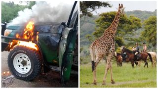 Cuplu aflat în luna de miere, ucis de teroriști într-un safari din Africa