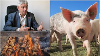 EXCLUSIV - Ce preț va avea carnea de porc de Crăciun? Ioan Ladoși (Asociaţia Producătorilor de Carne de Porc din România): ”Doar 20% din carnea din magazine e românească. 80% e importată”