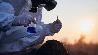  Alte mari orașe se confruntă cu invazii de ploșnițe