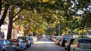 Strada Stefan cel Mare Constanta